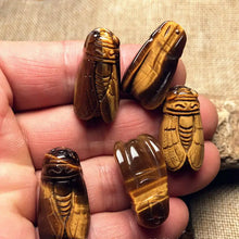 Load image into Gallery viewer, AAA Natural Tiger&#39;s Eye Rock Stone Quartz Cicada Carving Healing Crystal Gemstone Carved Cicadas Pendant W/ Hole Home Decor Gift
