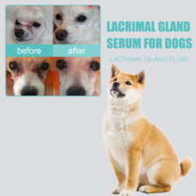 Load image into Gallery viewer, Eye Cleaner For Dogs Tear Stains Wash Removers Eye Essence With Mild Ingredients Home
