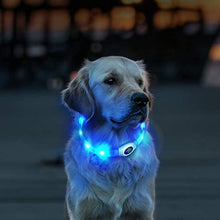 Load image into Gallery viewer, HONEYCARE LED USB Rechargeable Glowing Adjustable Waterproof Silicone Flashing Light Up Pet Collar
