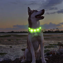 Load image into Gallery viewer, HONEYCARE LED USB Rechargeable Glowing Adjustable Waterproof Silicone Flashing Light Up Pet Collar
