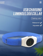 Load image into Gallery viewer, HONEYCARE LED USB Rechargeable Glowing Adjustable Waterproof Silicone Flashing Light Up Pet Collar
