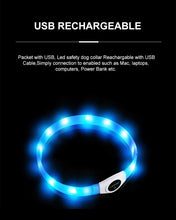 Load image into Gallery viewer, HONEYCARE LED USB Rechargeable Glowing Adjustable Waterproof Silicone Flashing Light Up Pet Collar
