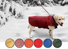 Load image into Gallery viewer, Winter Pet Dog Clothes French Bulldog Pet Warm Jacket
