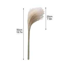 Load image into Gallery viewer, 50 Pcs Pampas Grass 30cm Dried Pompous Grass Pompass Branches
