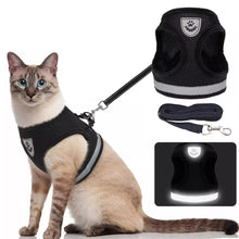 Load image into Gallery viewer, Breathable Cat Harness And Leash Escape Proof Pet Clothes
