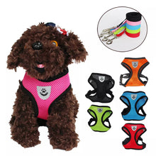 Load image into Gallery viewer, Breathable Cat Harness And Leash Escape Proof Pet Clothes
