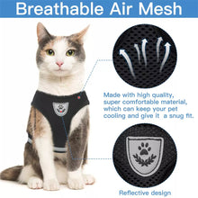 Load image into Gallery viewer, Breathable Cat Harness And Leash Escape Proof Pet Clothes
