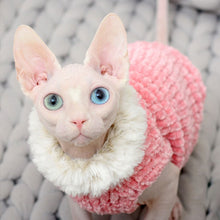 Load image into Gallery viewer, Hairless Cat Pet Clothes Soft Eco-friendly Wool Sweater Close-fitting Thick Winter
