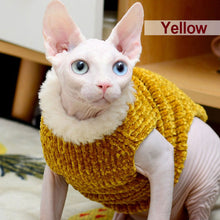 Load image into Gallery viewer, Hairless Cat Pet Clothes Soft Eco-friendly Wool Sweater Close-fitting Thick Winter
