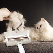 Load image into Gallery viewer, Pet Hair Removel Brush Self-Cleaning Base For Cat Dog Fur Grooming
