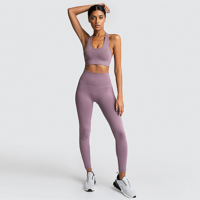 Summer 2 Piece Set Women Yoga  Workout Leggings Sports Suit Bras